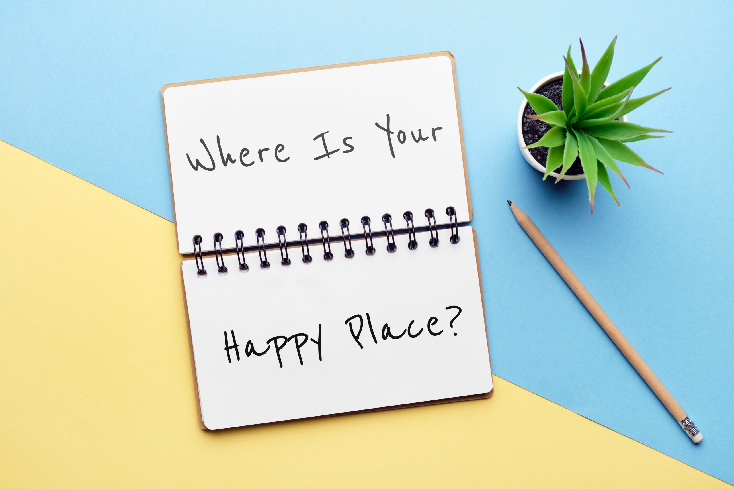 Ikigai! How About Starting from Why?